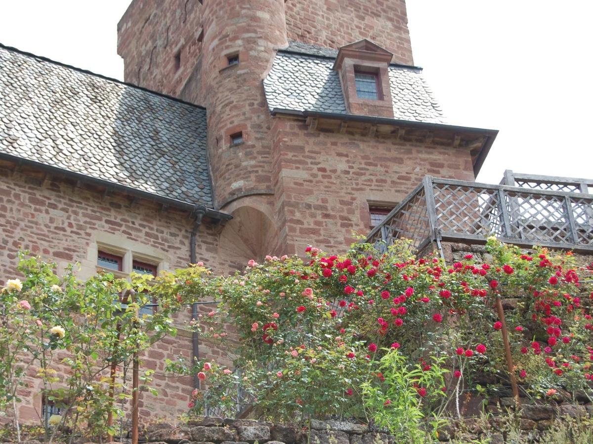 Chateau La Servayrie - Chambre D'Hotes Marcillac-Vallon Exteriér fotografie